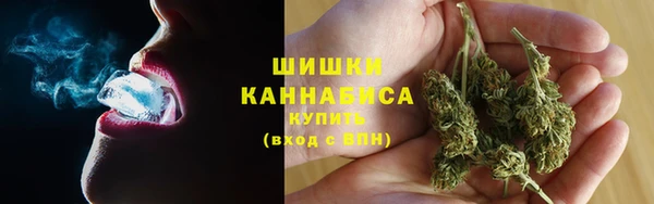 винт Каменка